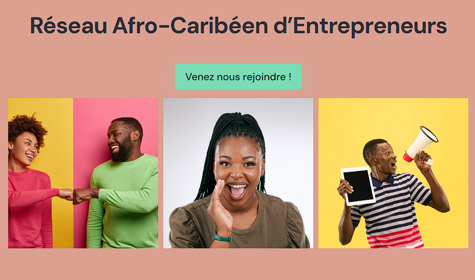     Un réseau afro-caribéen d'entrepreneurs voit le jour en ligne

