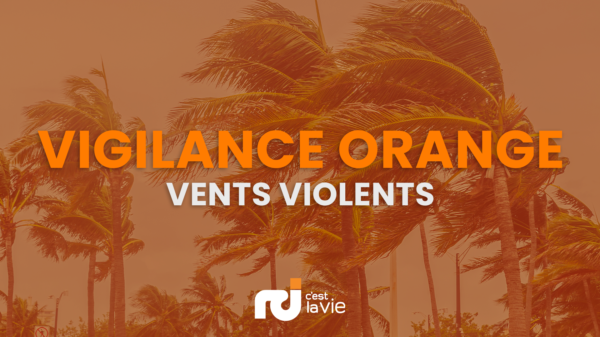     Ouragan « Tammy » : la Martinique passe en vigilance Orange pour « vents violents »

