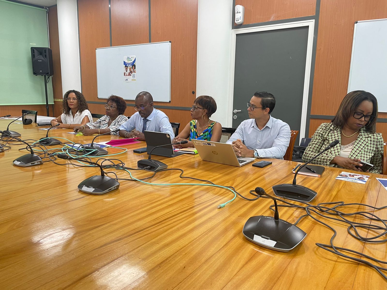     220 € pour soulager la facture des foyers précaires en Guadeloupe

