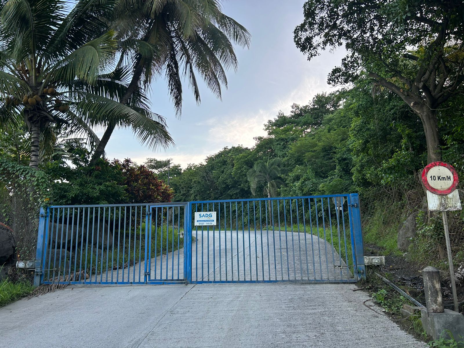     Accident de travail mortel à Deshaies : témoignage des riverains

