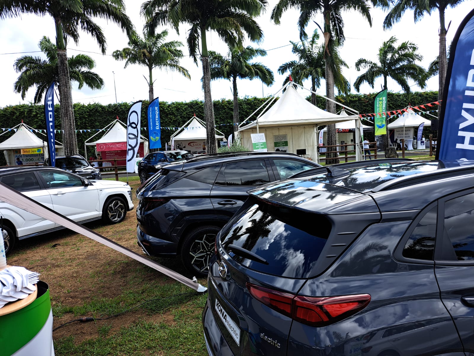     [DOSSIER] Les ventes de voitures électriques ont grimpé de 20% en 2023 en Guadeloupe 

