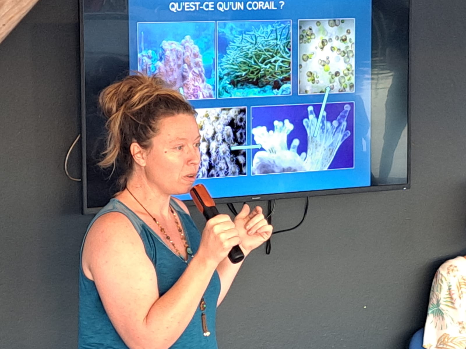     Les écosystèmes marins en Guadeloupe : 12 conférences pour en parler

