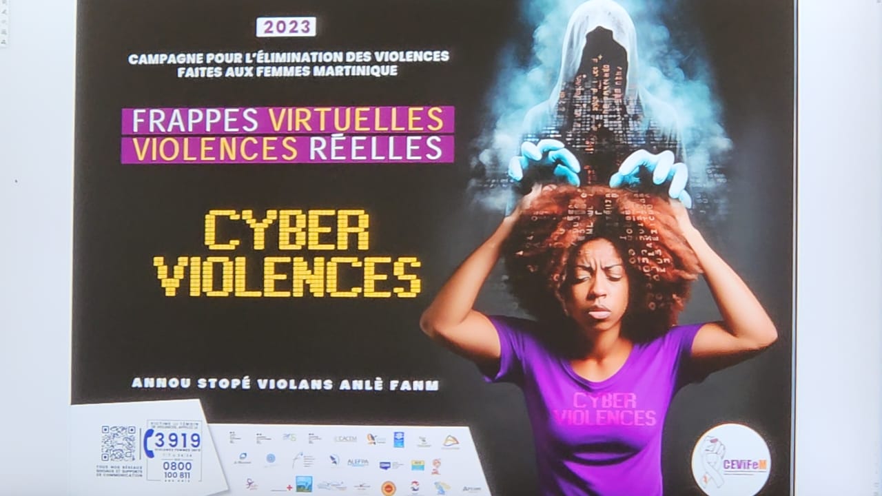     Elimination des violences faites aux femmes : les frappes virtuelles au  cœur de la campagne

