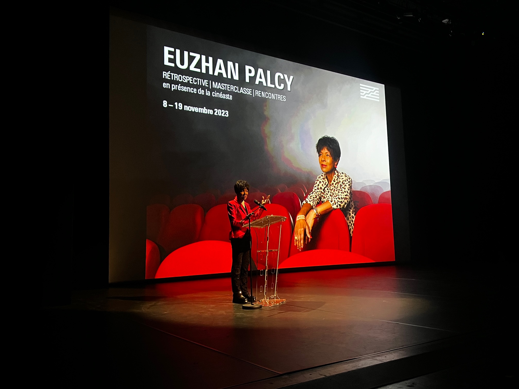     Rétrospective Euzhan Palcy au Centre Pompidou 

