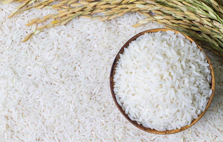     Plus de 200 tonnes de riz contaminé aux pesticides et fongicides saisies au port de Jarry

