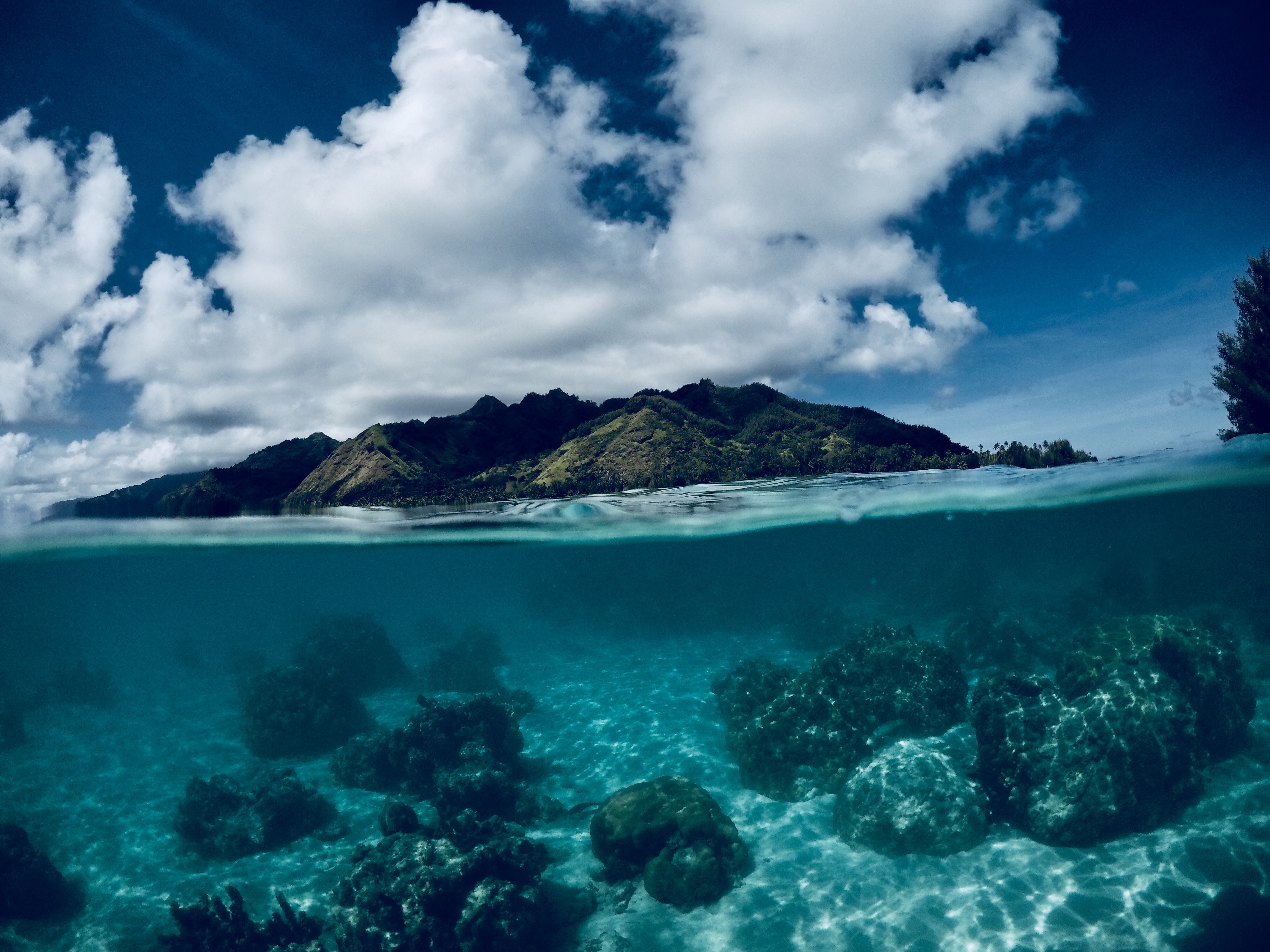     Des barrières artificielles de corail pour lutter contre les ouragans 

