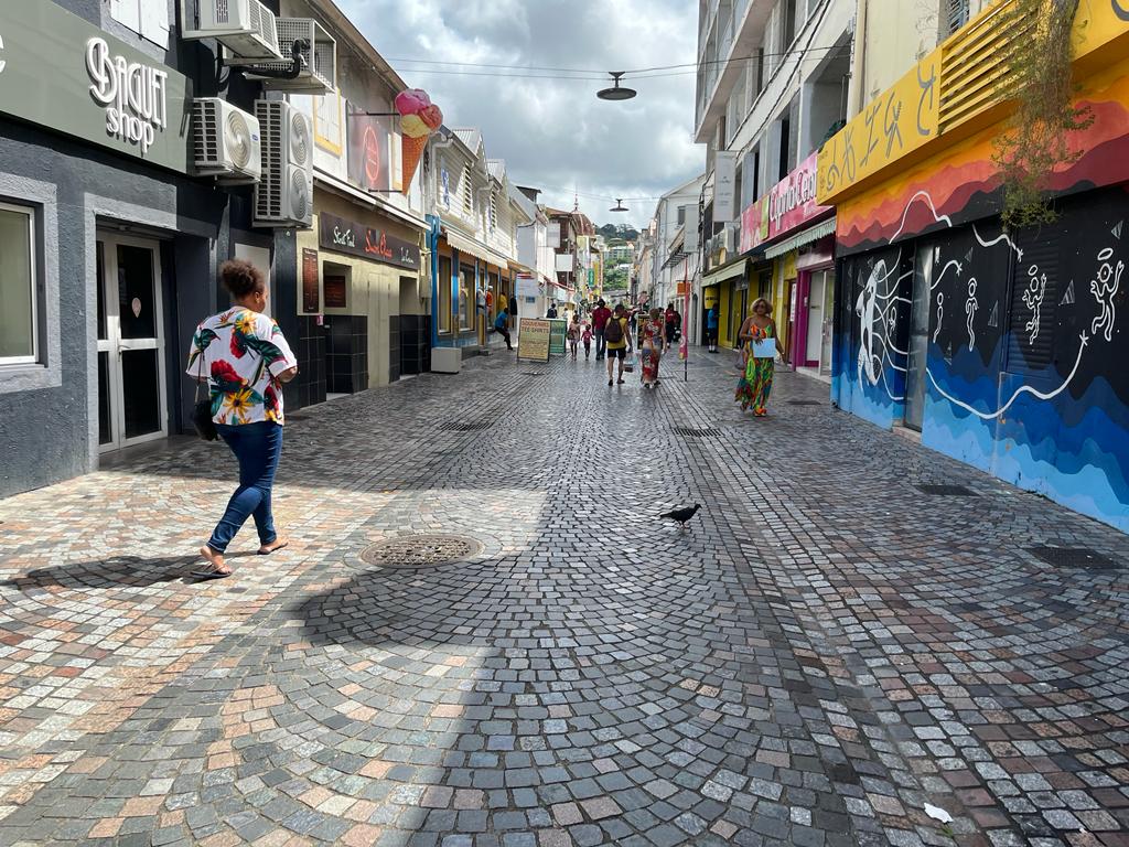     Femmes dans la rue : un phénomène récent aux Antilles

