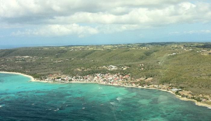     Guadeloupe : les sargasses pèseront-elles sur la saison touristique 2024 ?

