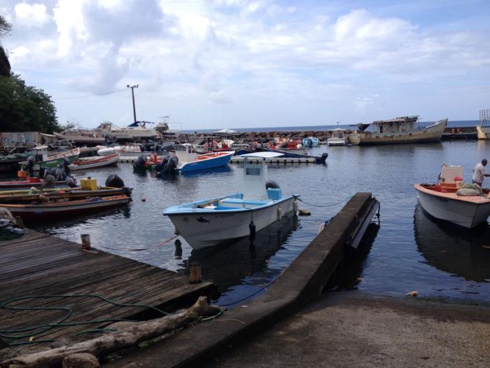     La forte houle en Martinique perturbe le transport maritime, des manifestations annulées 


