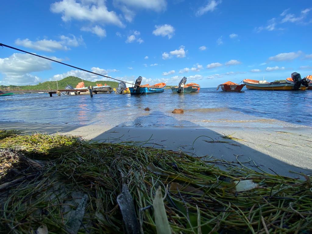     Chlordécone : l’État prolonge et simplifie l’aide aux pêcheurs

