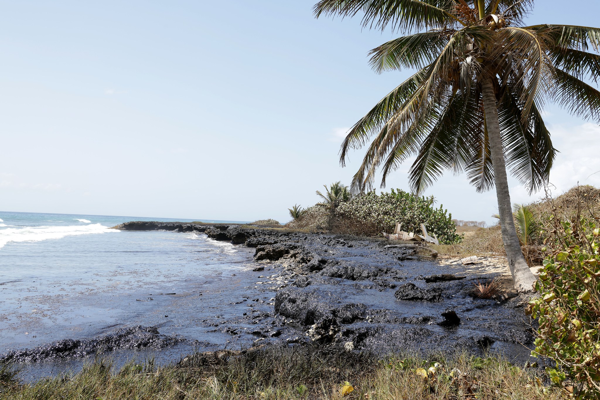     Trinidad-et-Tobago : la marée noire toujours pas contenue, gros dégâts sur les côtes

