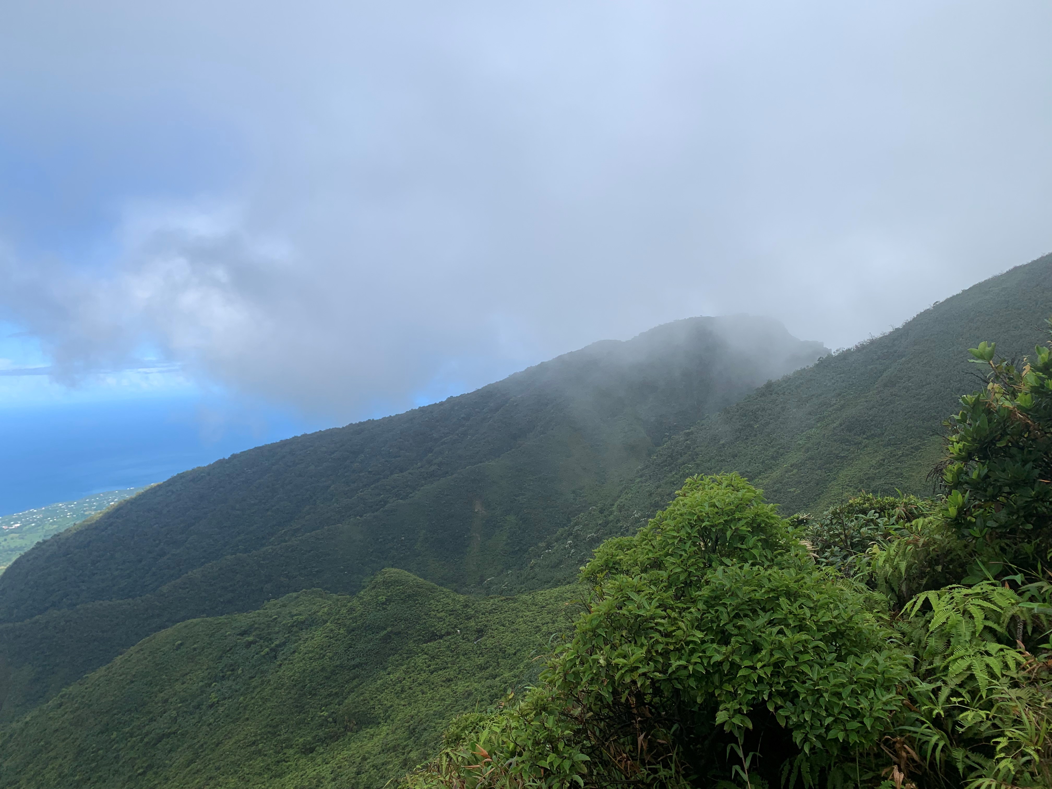     La Guadeloupe et la Martinique parmi les meilleures destinations « nature » au Monde

