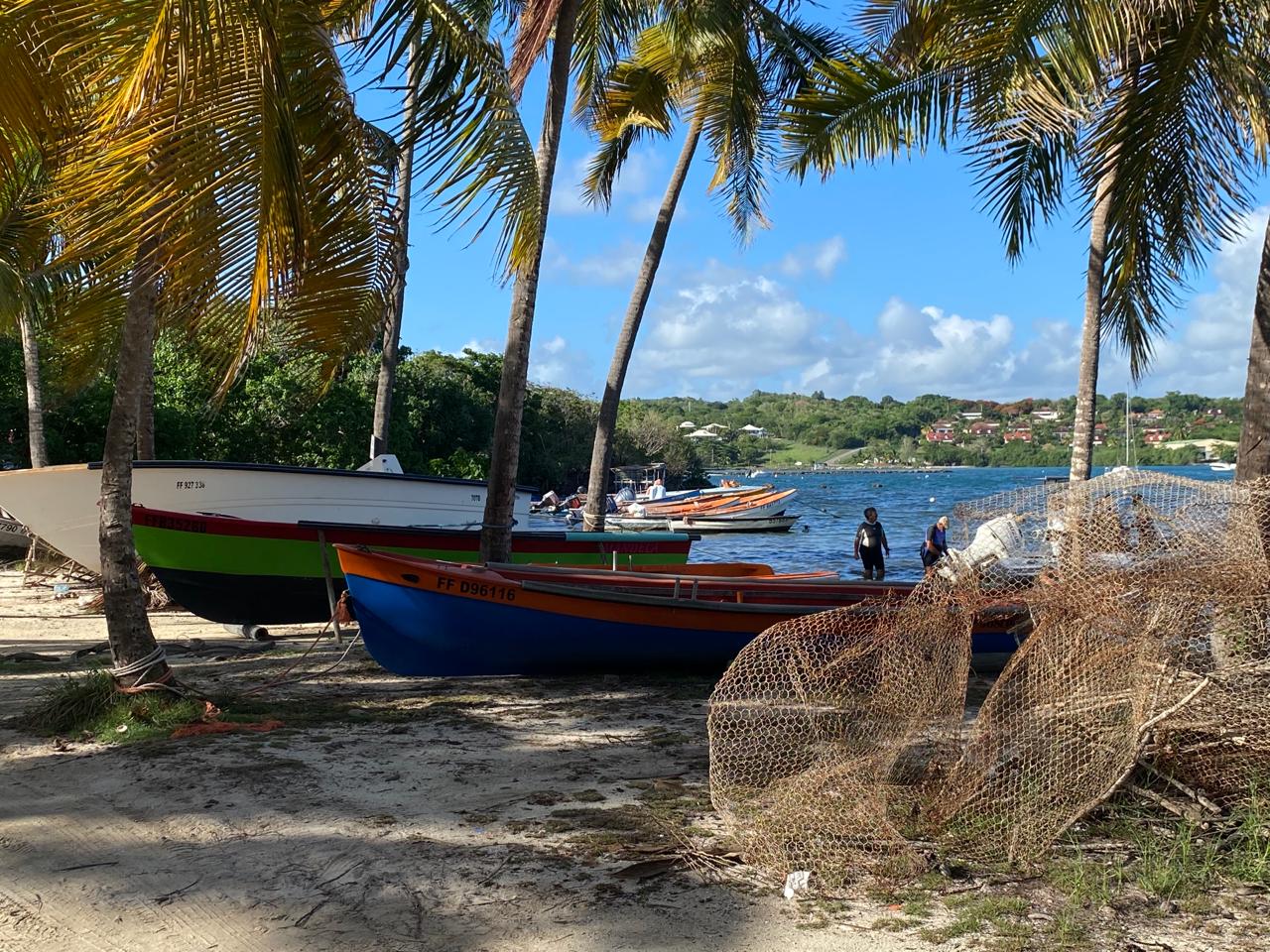    Bruxelles débloque les aides pour renouveler les flottes de pêche en Guadeloupe et en Martinique

