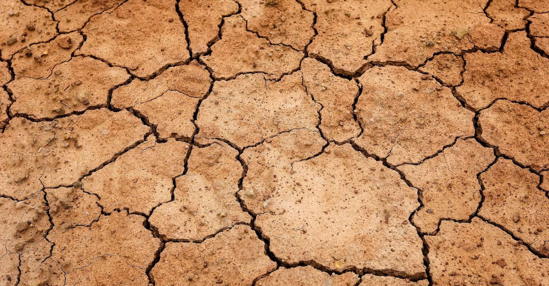     La Martinique est placée en situation de "Crise sécheresse"

