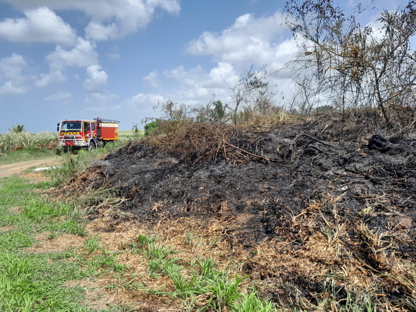     Trois hectares de broussailles partent en fumée à Rivière-Salée

