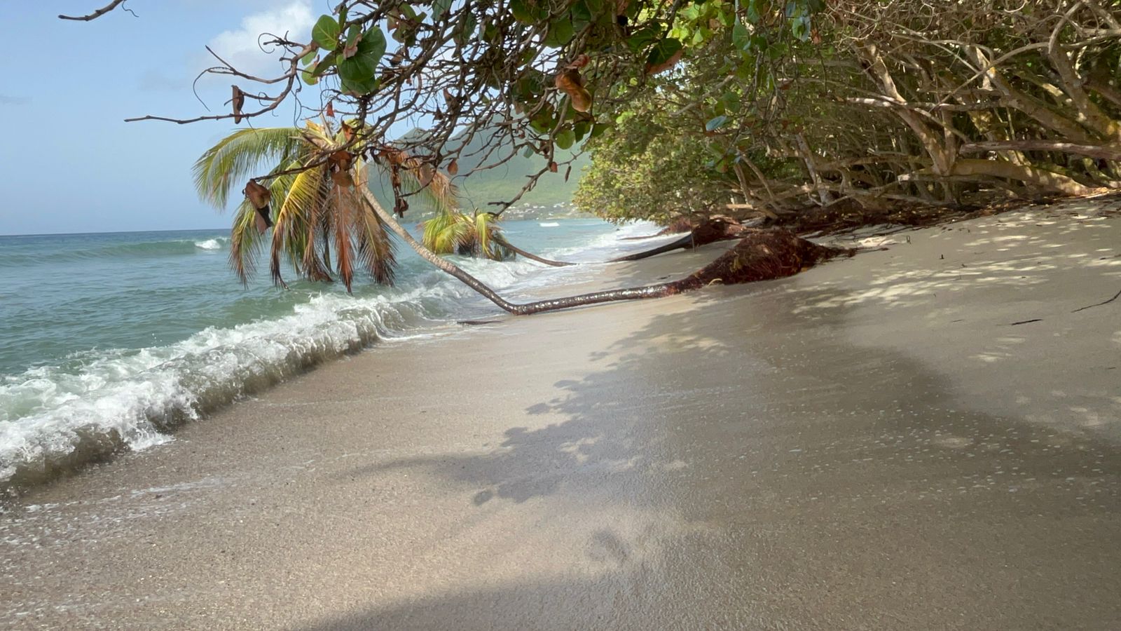     Les plages de Martinique défigurées par le passage de l'ouragan Béryl

