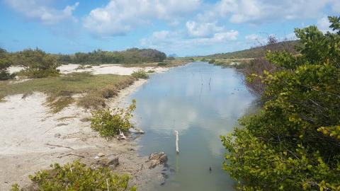 les salines.jpeg