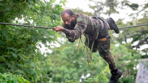 troupes néerlandaises PARCOURS