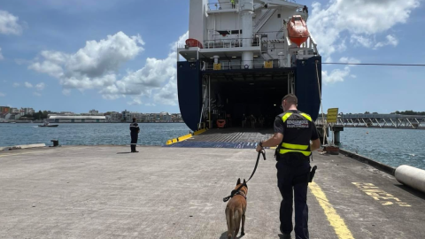 Capture d'écran 2025-0