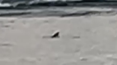 Capture d'écran 2025-12-26 170