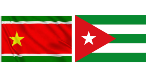 drapeau UPLG et GONG