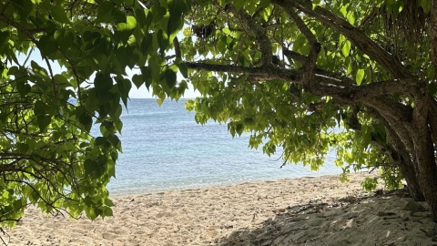 plage du souffleur