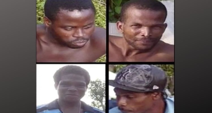 meurtrier marion génin