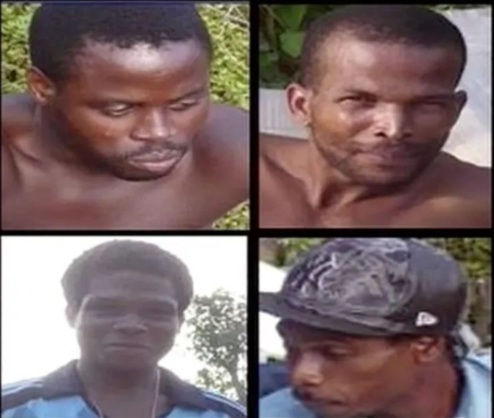 meurtrier génin.JPG