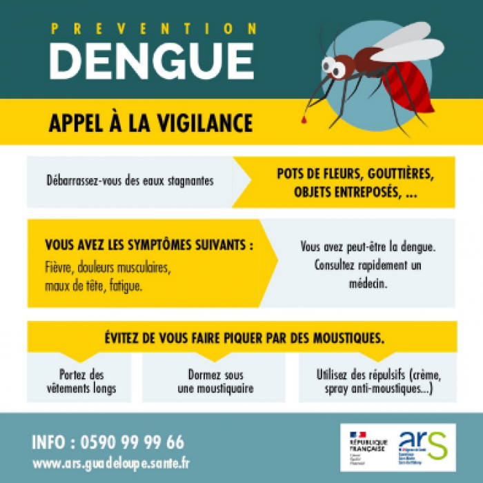 symptômes dengue