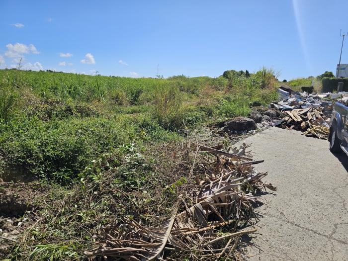 Déchets verts.