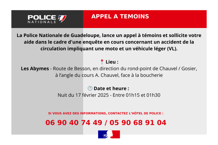 Appel à Témoins - AVP 17 février 2025.png