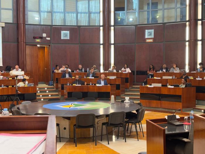 plénière Région Guadeloupe