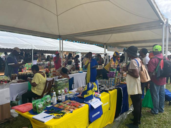 Foire artisanale et agricole Rivière-Pilote 
