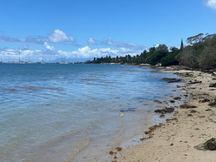 La Coulée à Saint-François