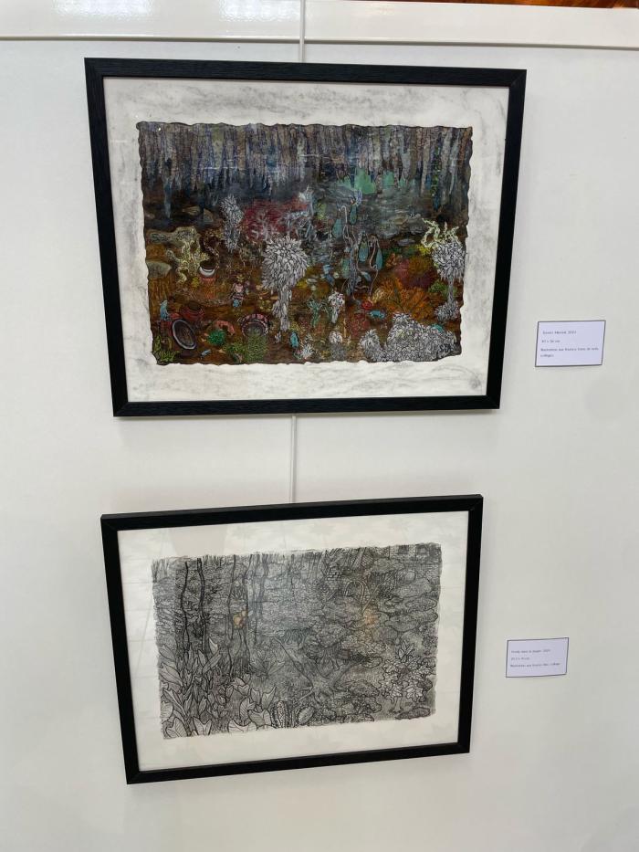  Errance vers l’Horizon Zibeline