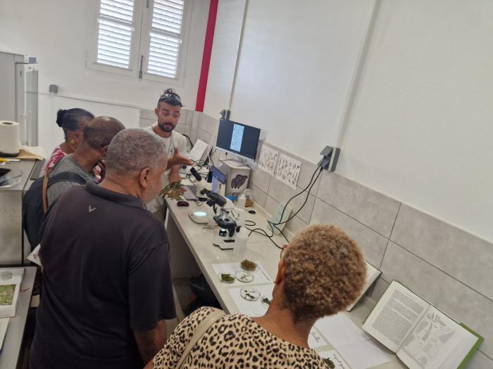 JPO Conservatoire botanique Mq