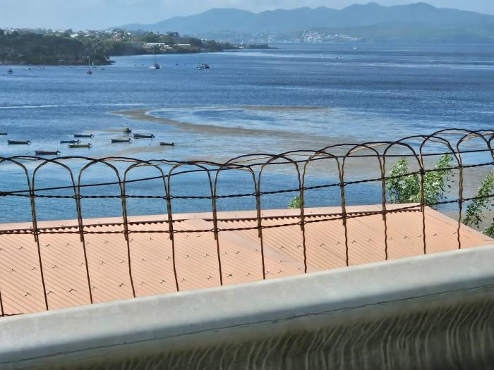 sargasses Fond Lahayé