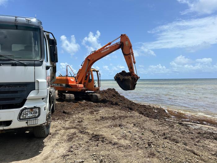 Ramassage sargasses Vauclin