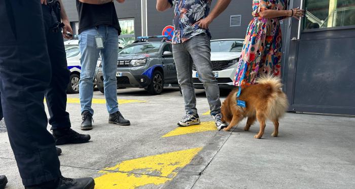 Oscar Chien de médiation