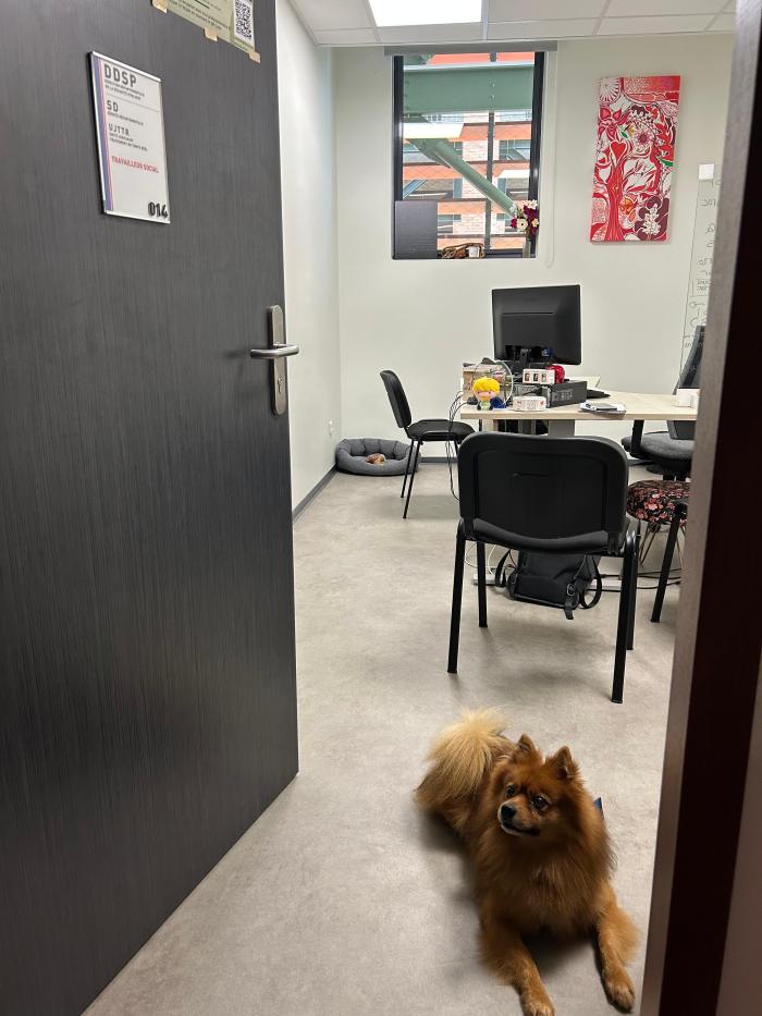 Oscar Chien de médiation