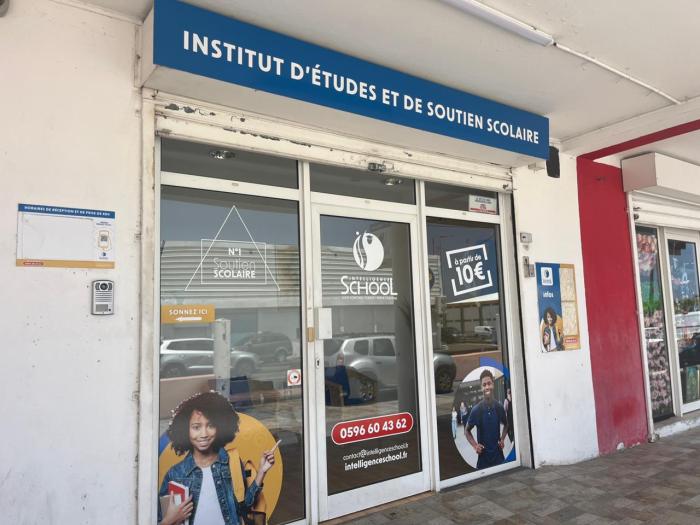 Intelligence School Bellevue soutien scolaire