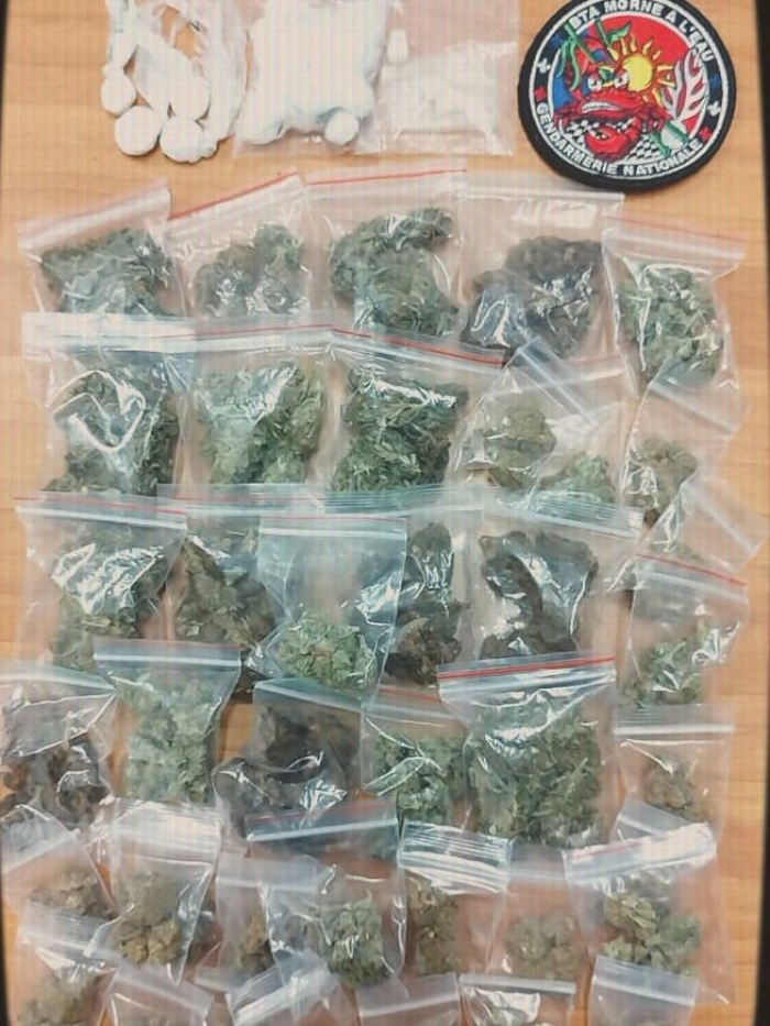 saisie cannabis morne à l'eau