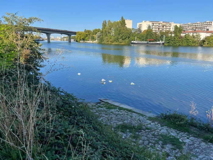 Marche blanche Choisy-le-Roi