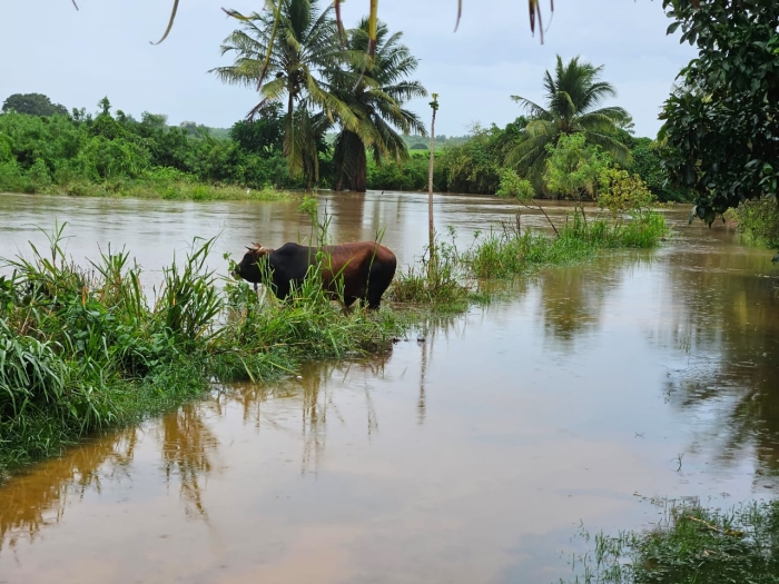 Jerry inondations Anse-Bertrand 101025