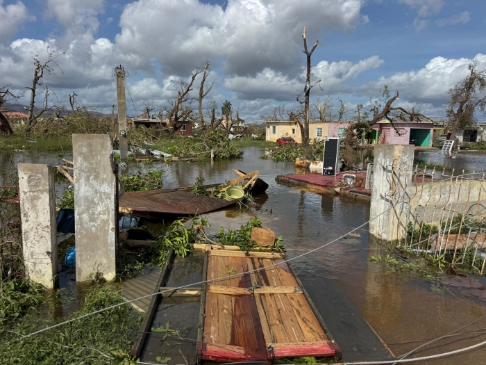 Jamaïque 1©réseaux sociaux