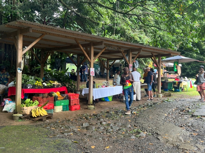 festival des arts rastafari