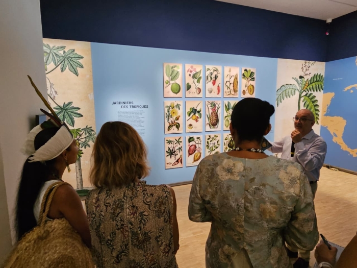 Aux origines de la Caraïbe