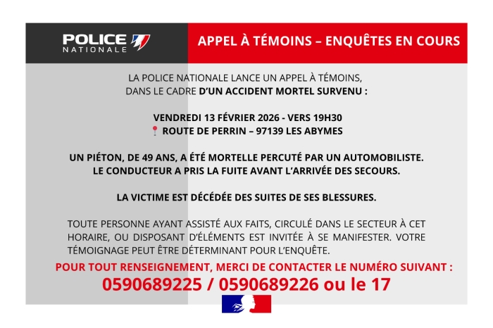 Appel à témoins aux Abymes