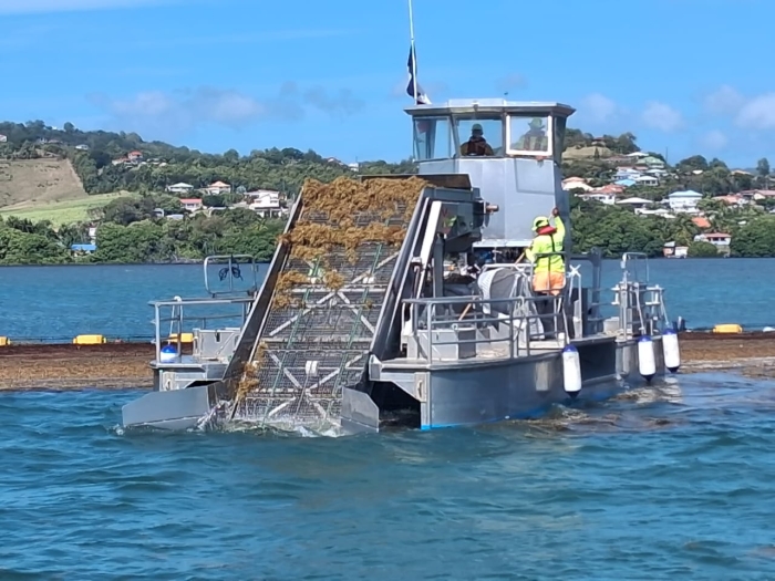 sargator 3 ramassage sargasses martinique