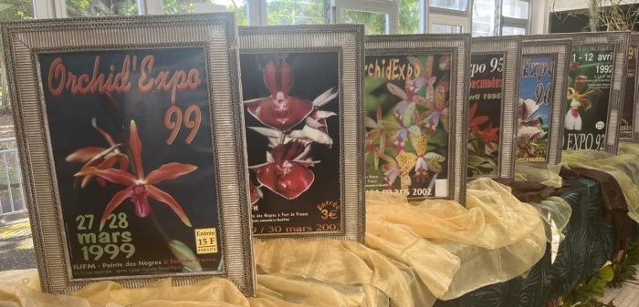 Orchid Expo 2026